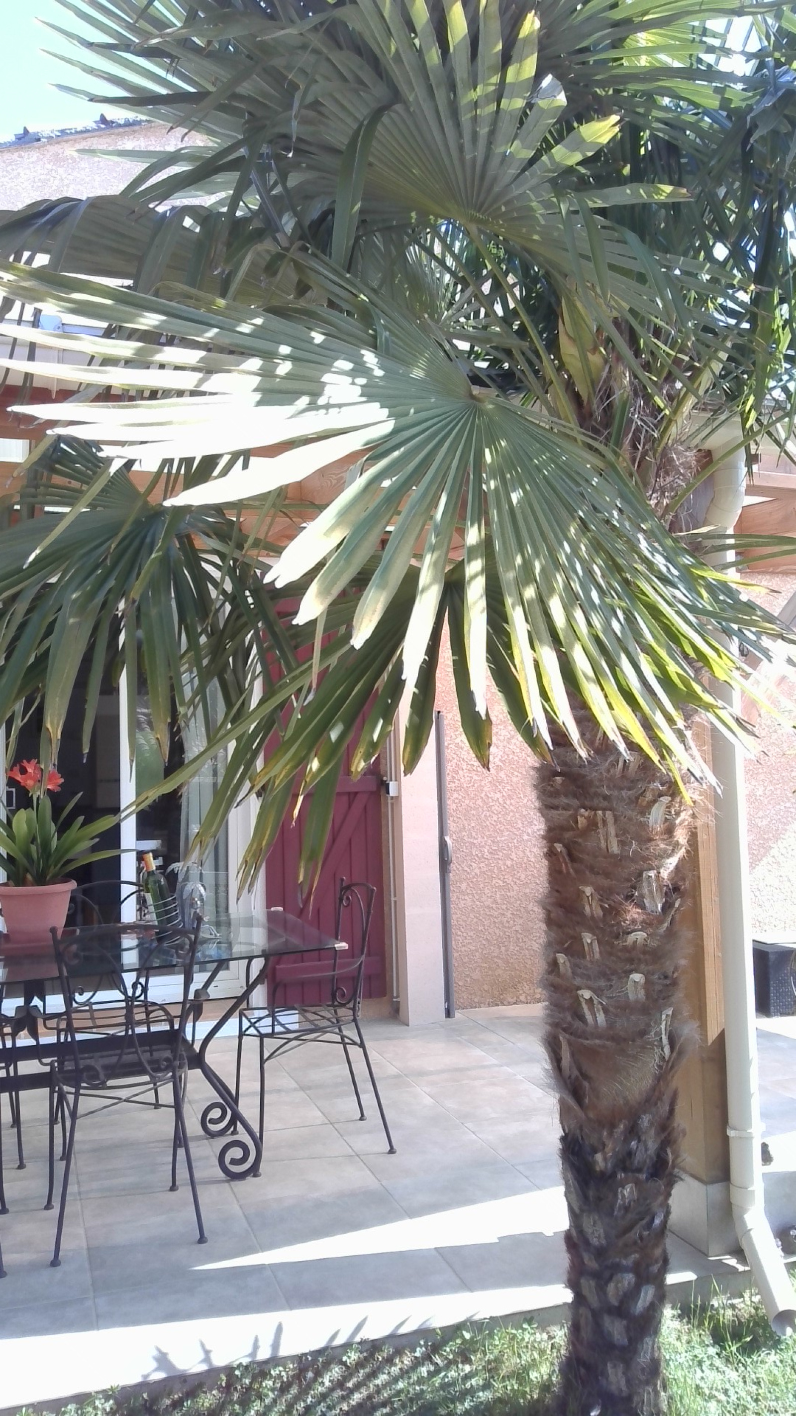 Image_23, Villa, Espéraza, ref :9119