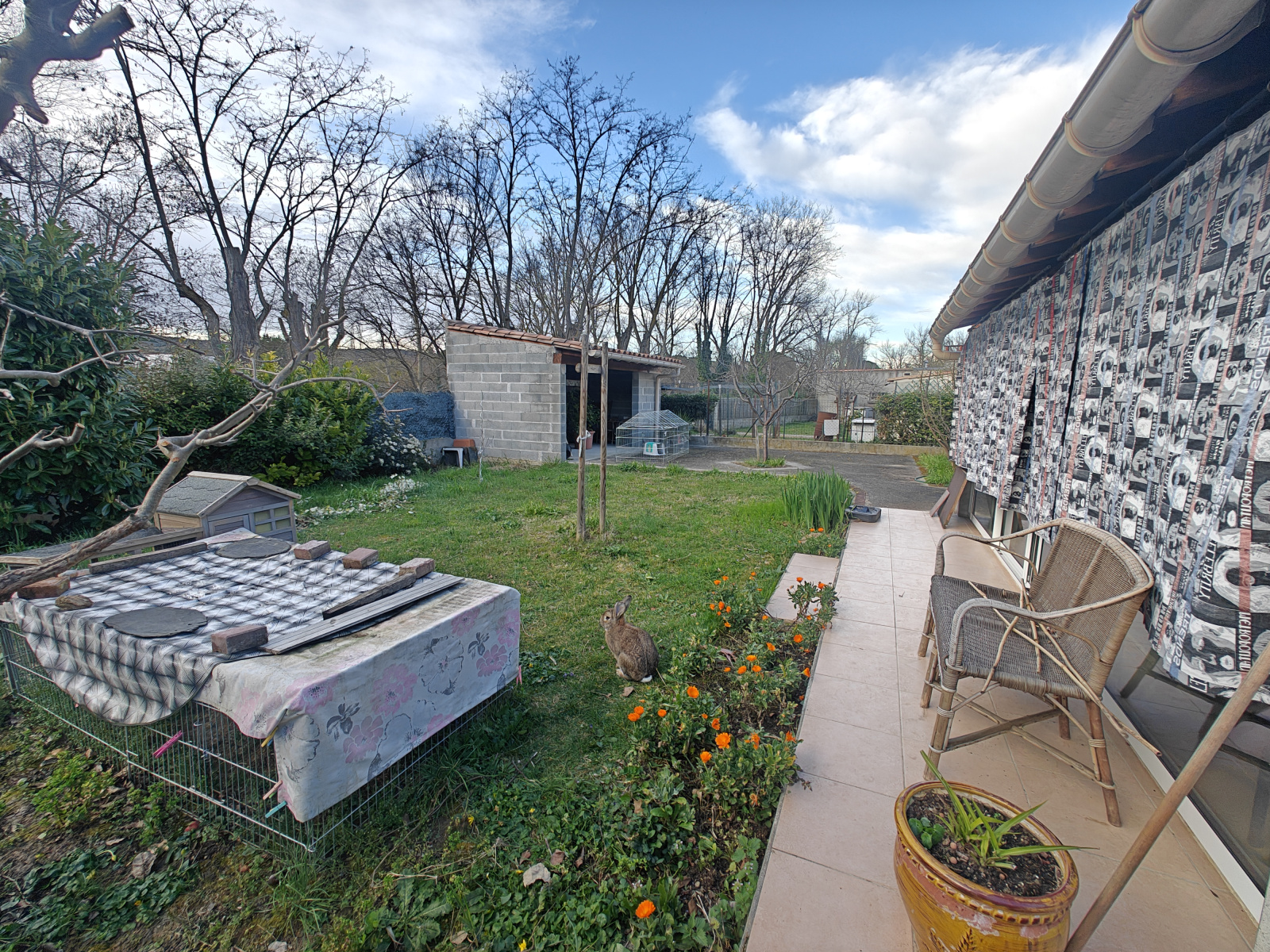 Image_7, Viager, Limoux, ref :9093