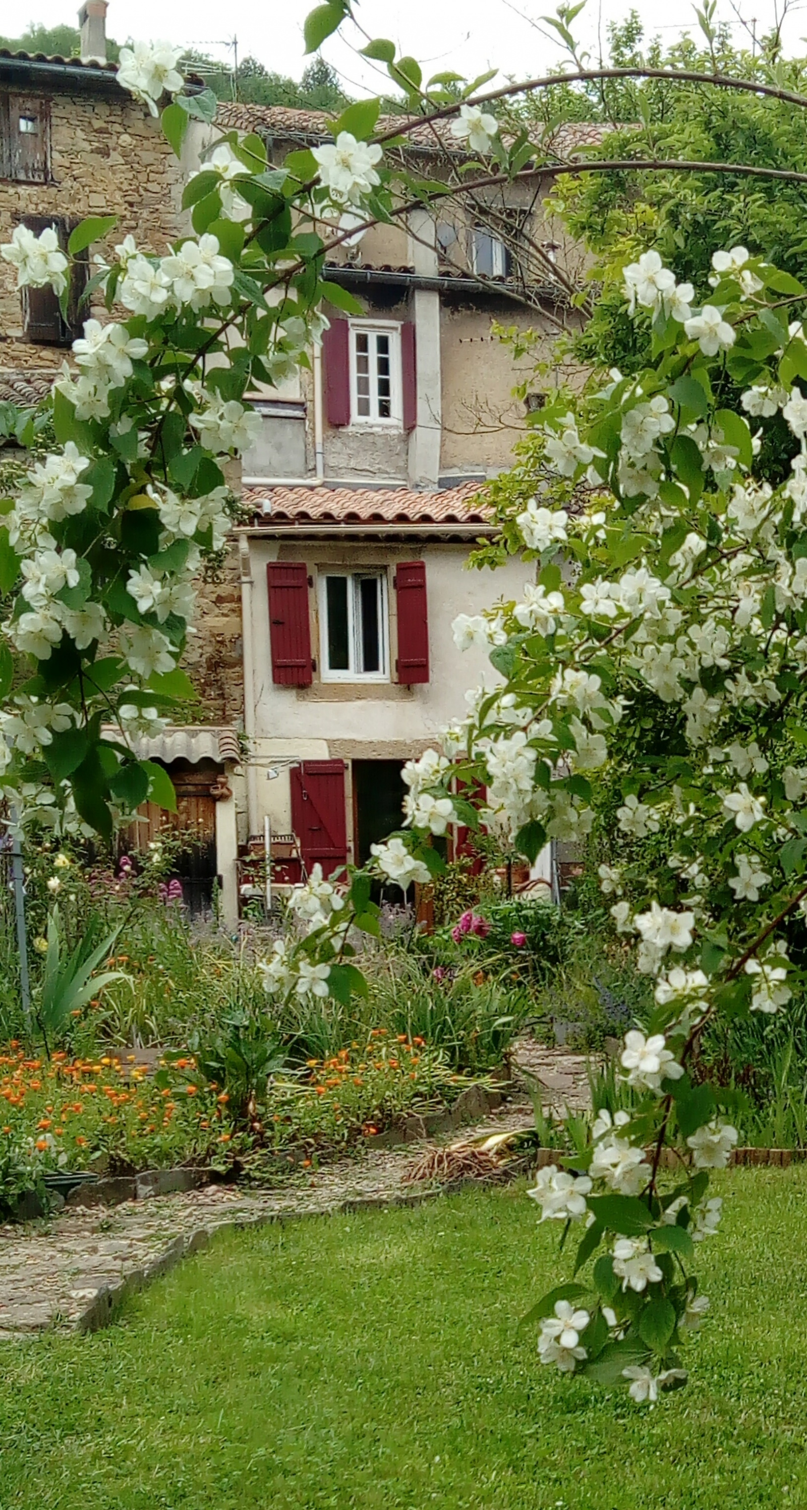 Image_2, Maison de village, Rennes-les-Bains, ref :8432