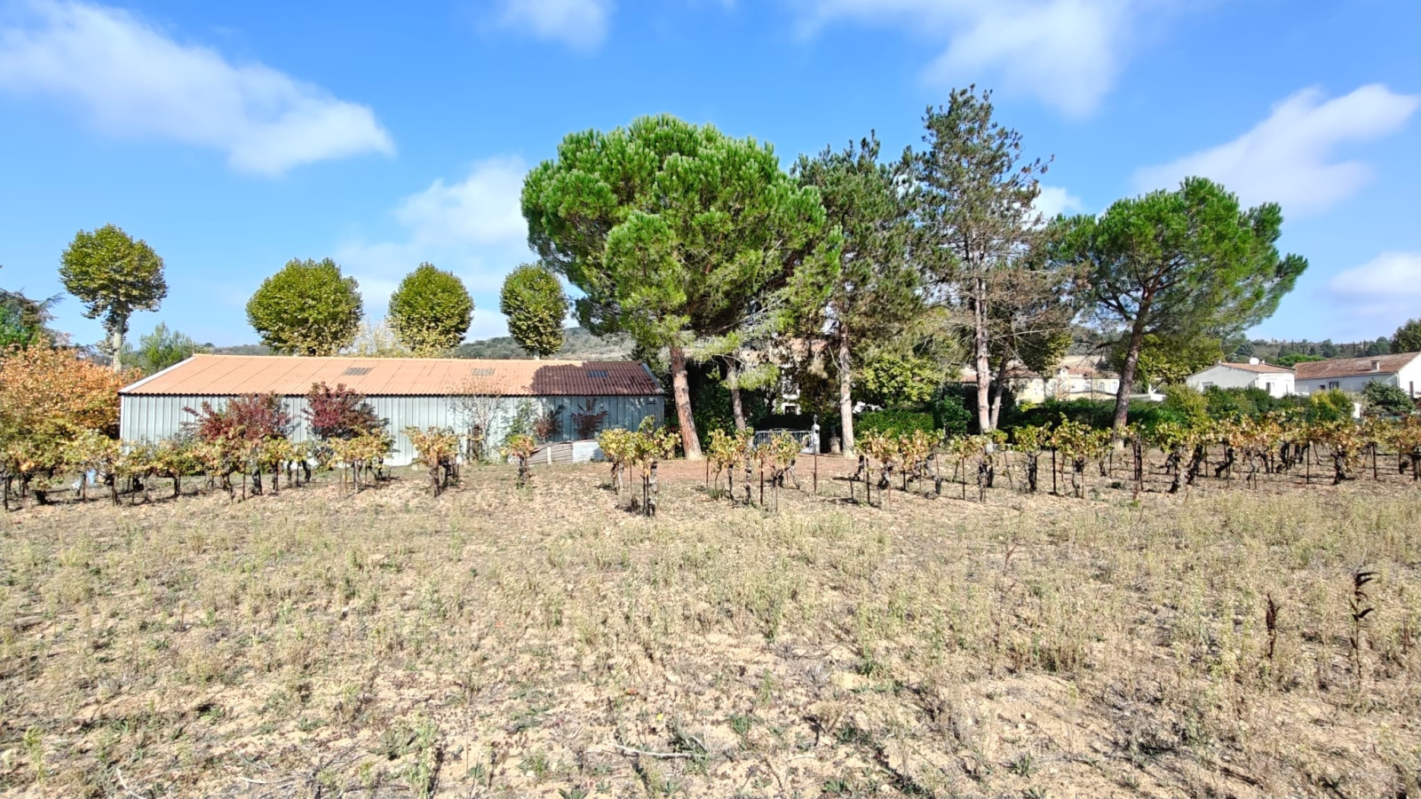 Image_27, Villa, Cépie, ref :9265