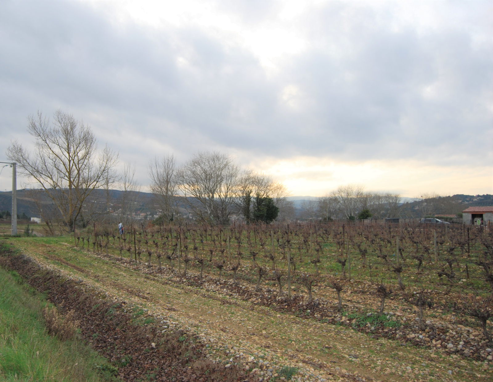 Image_1, Terrain, Limoux, ref :8582-A