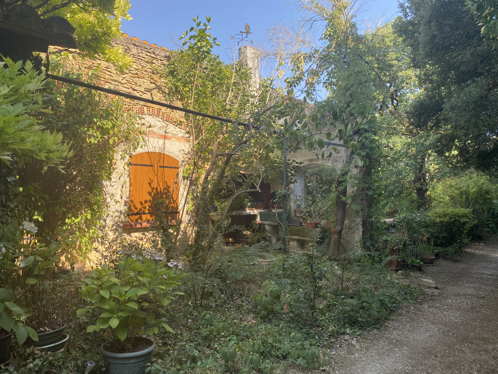 Image_15, Viager, Limoux, ref :8548