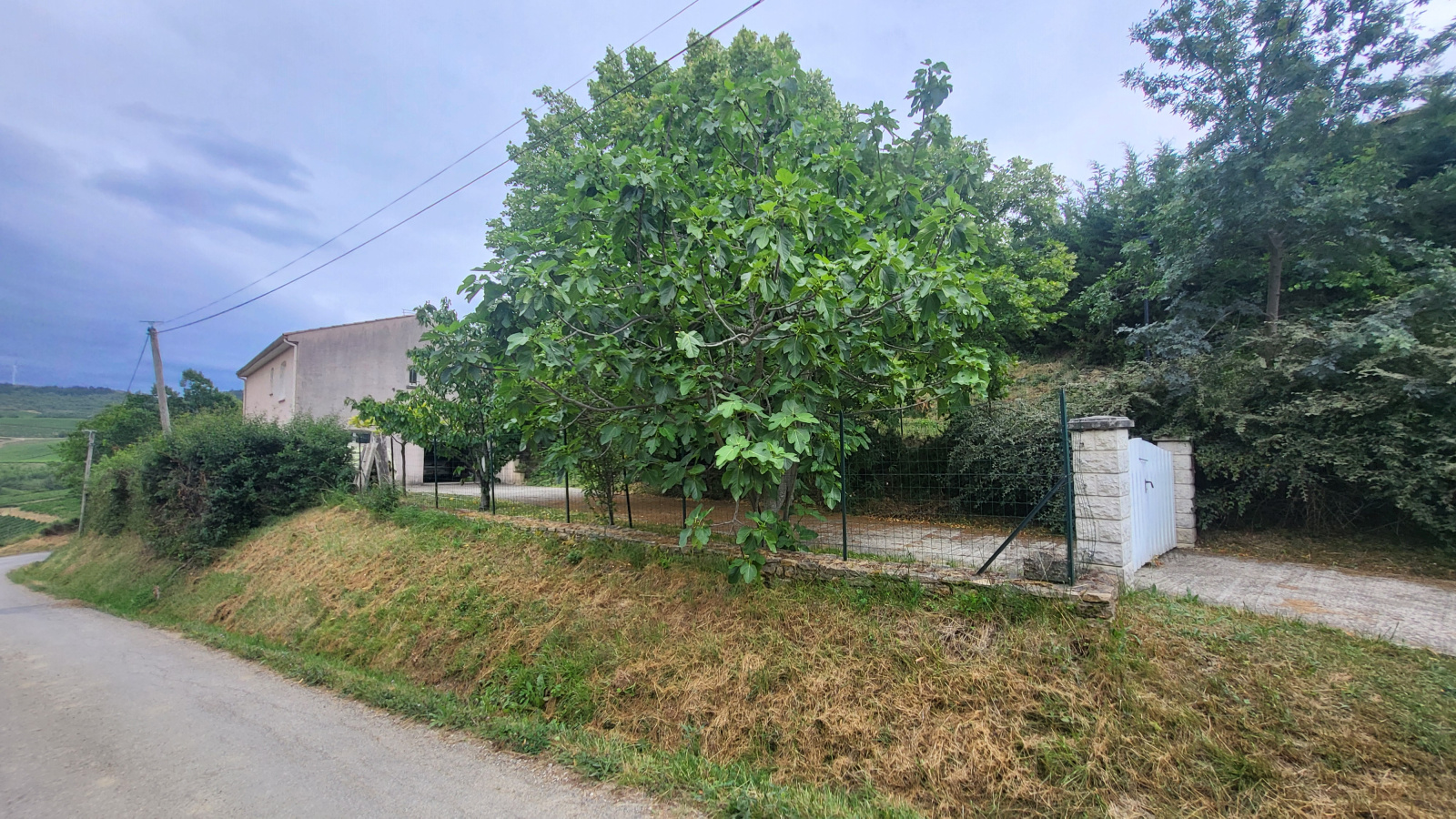 Image_3, viager maison, Limoux, ref :8955