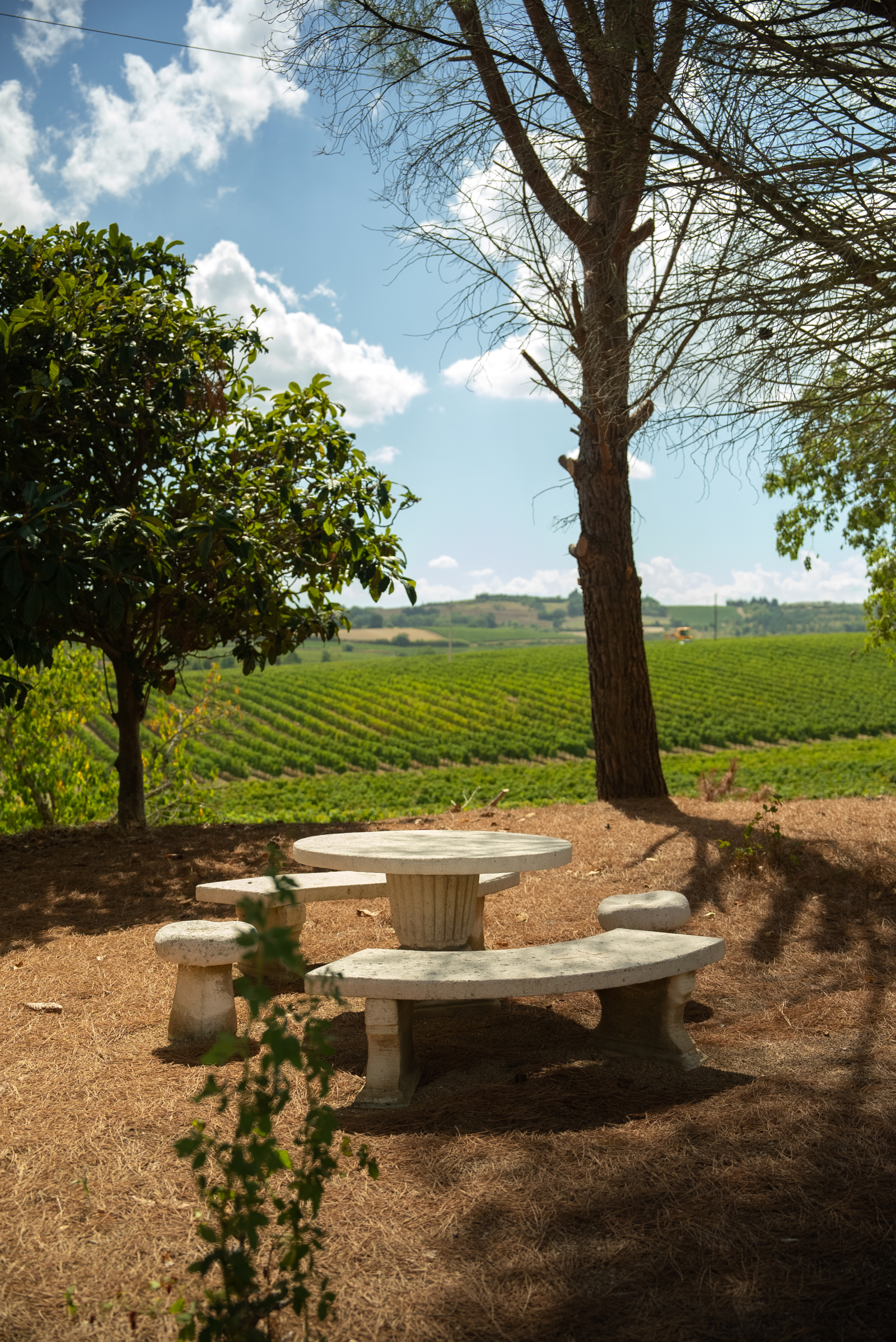 Image_31, Ferme, Belvèze-du-Razès, ref :9243