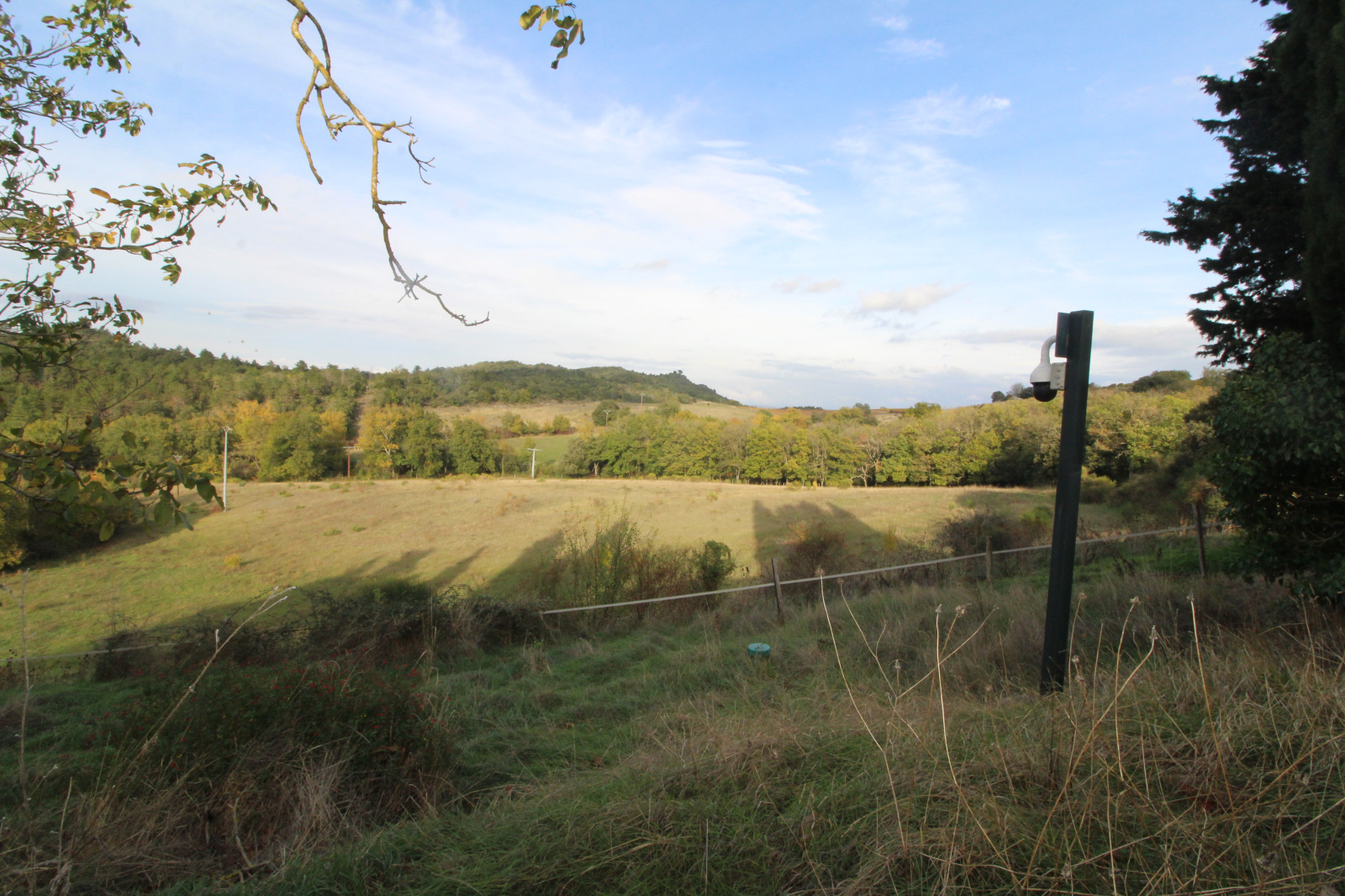 Image_16, Propriete, Pieusse, ref :9275