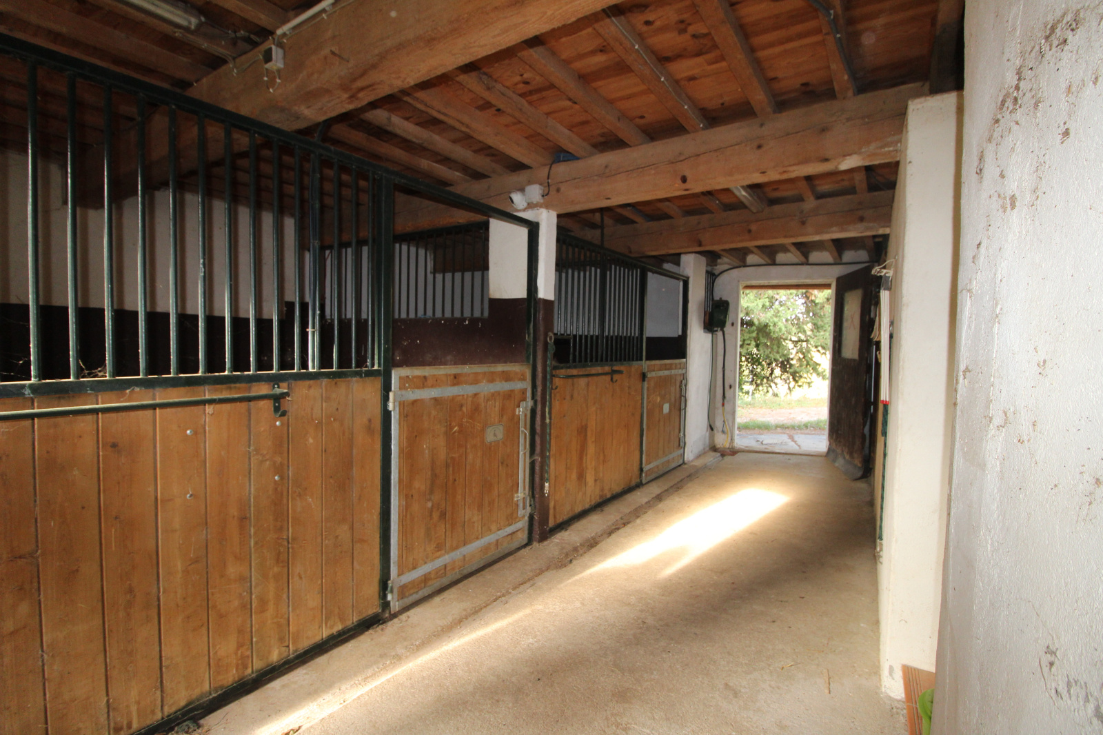 Image_14, Propriete, Pieusse, ref :9275