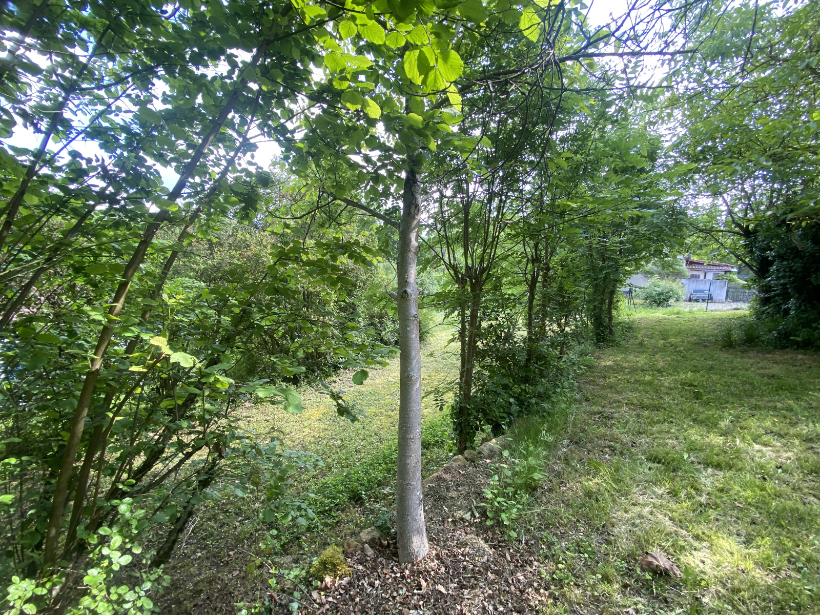 Image_10, Maison, Couiza, ref :9142