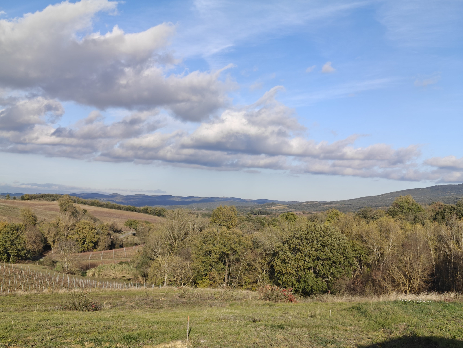 Image_6, Terrain à batir, Villar-Saint-Anselme, ref :9273-A