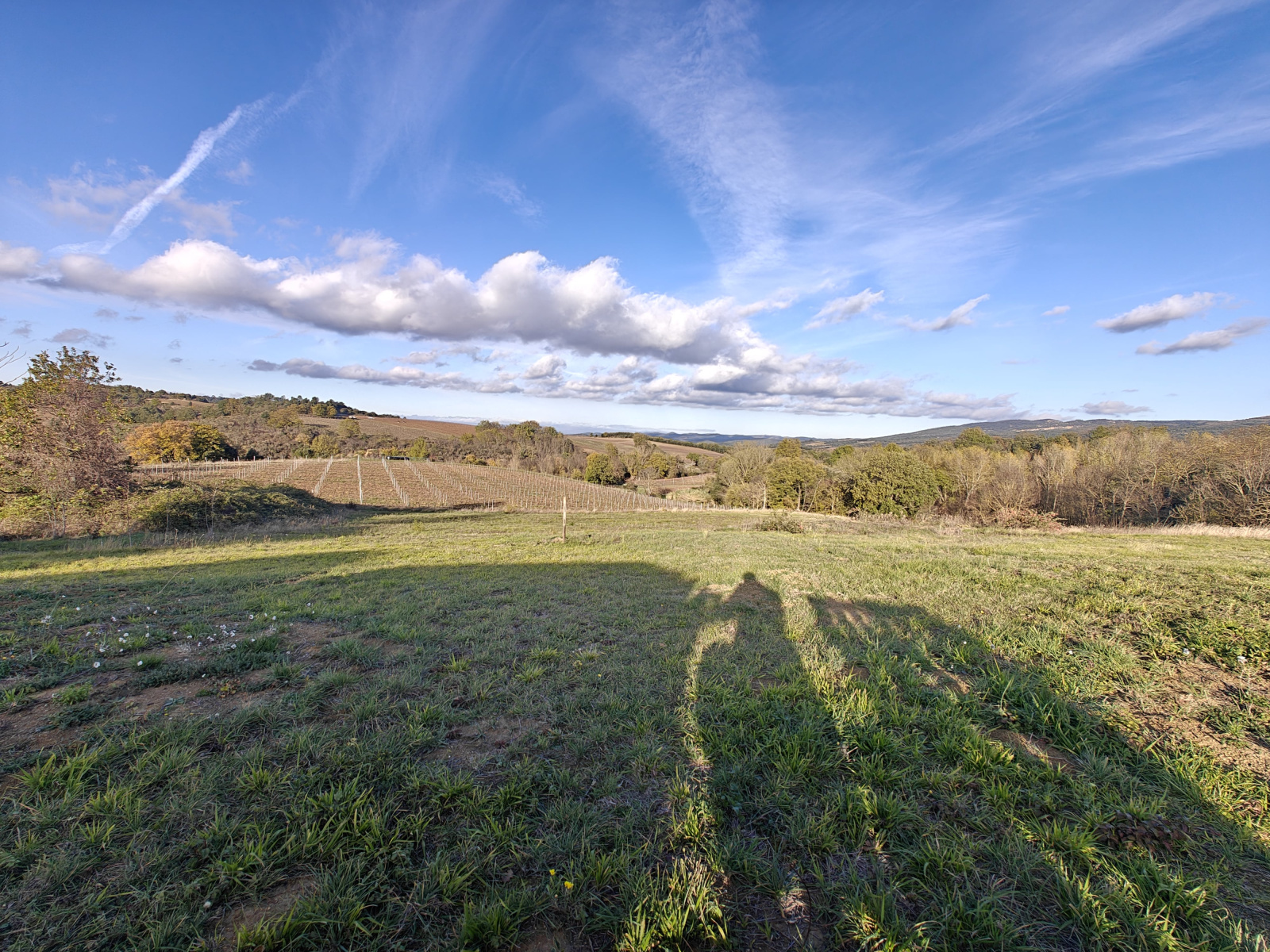 Image_4, Terrain à batir, Villar-Saint-Anselme, ref :9273-A