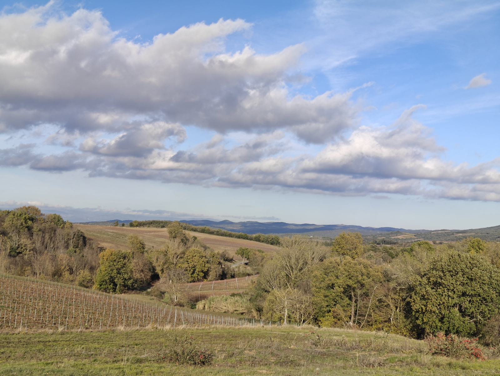 Image_8, Terrain à batir, Villar-Saint-Anselme, ref :9273-A
