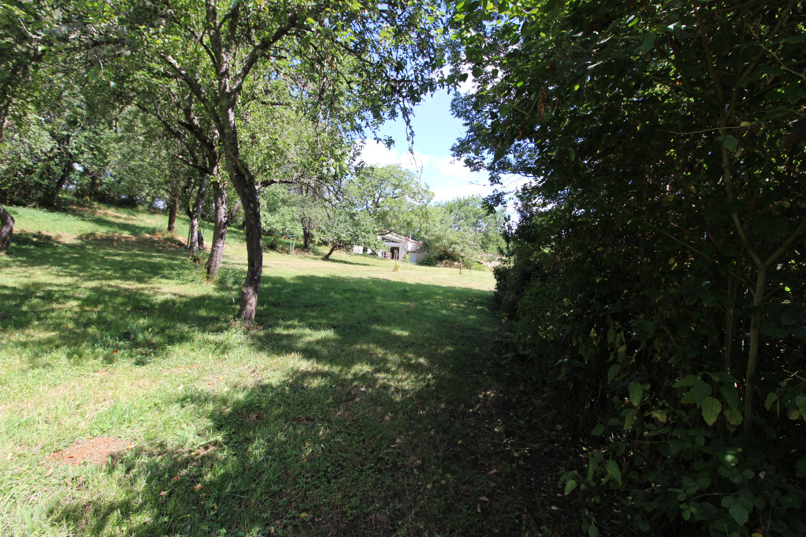 Image_12, Maison, Limoux, ref :9207