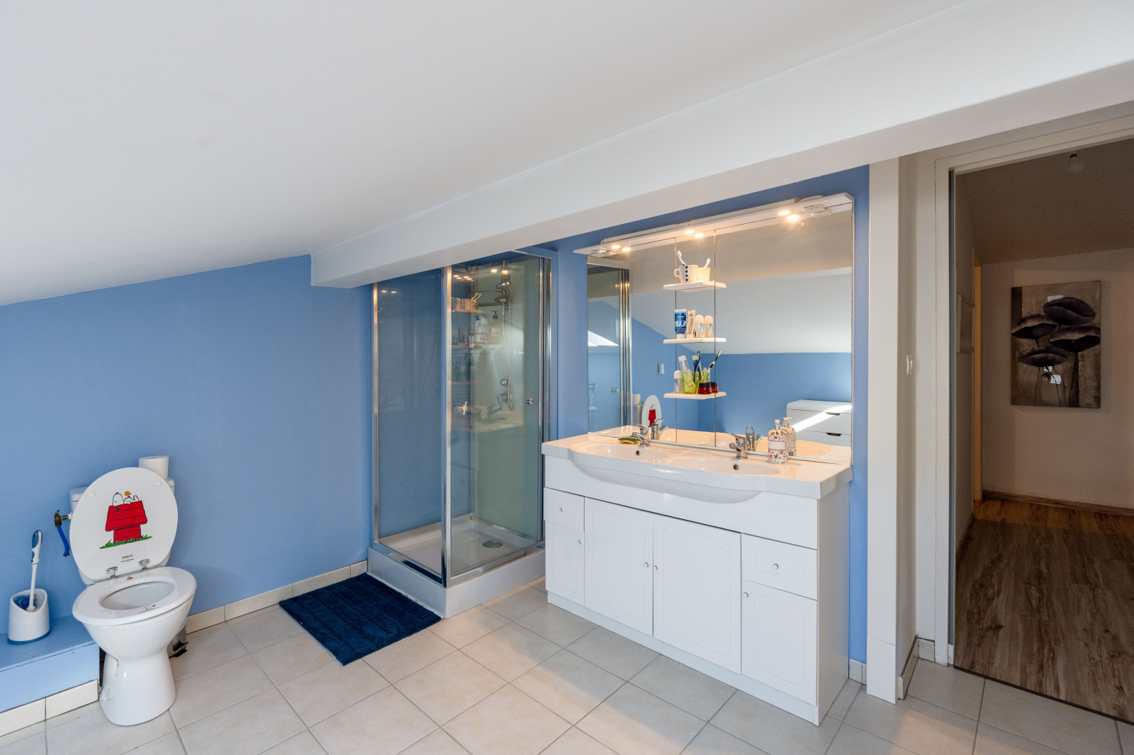 Image_14, Villa, Limoux, ref :9237