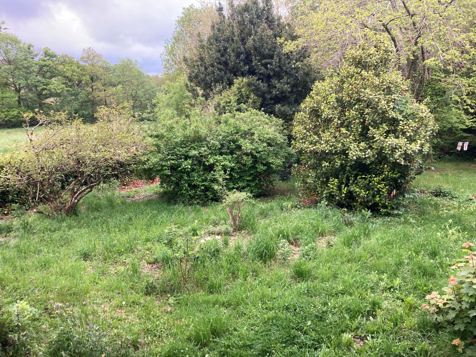 Image_16, Maison, Lacombe, ref :5808