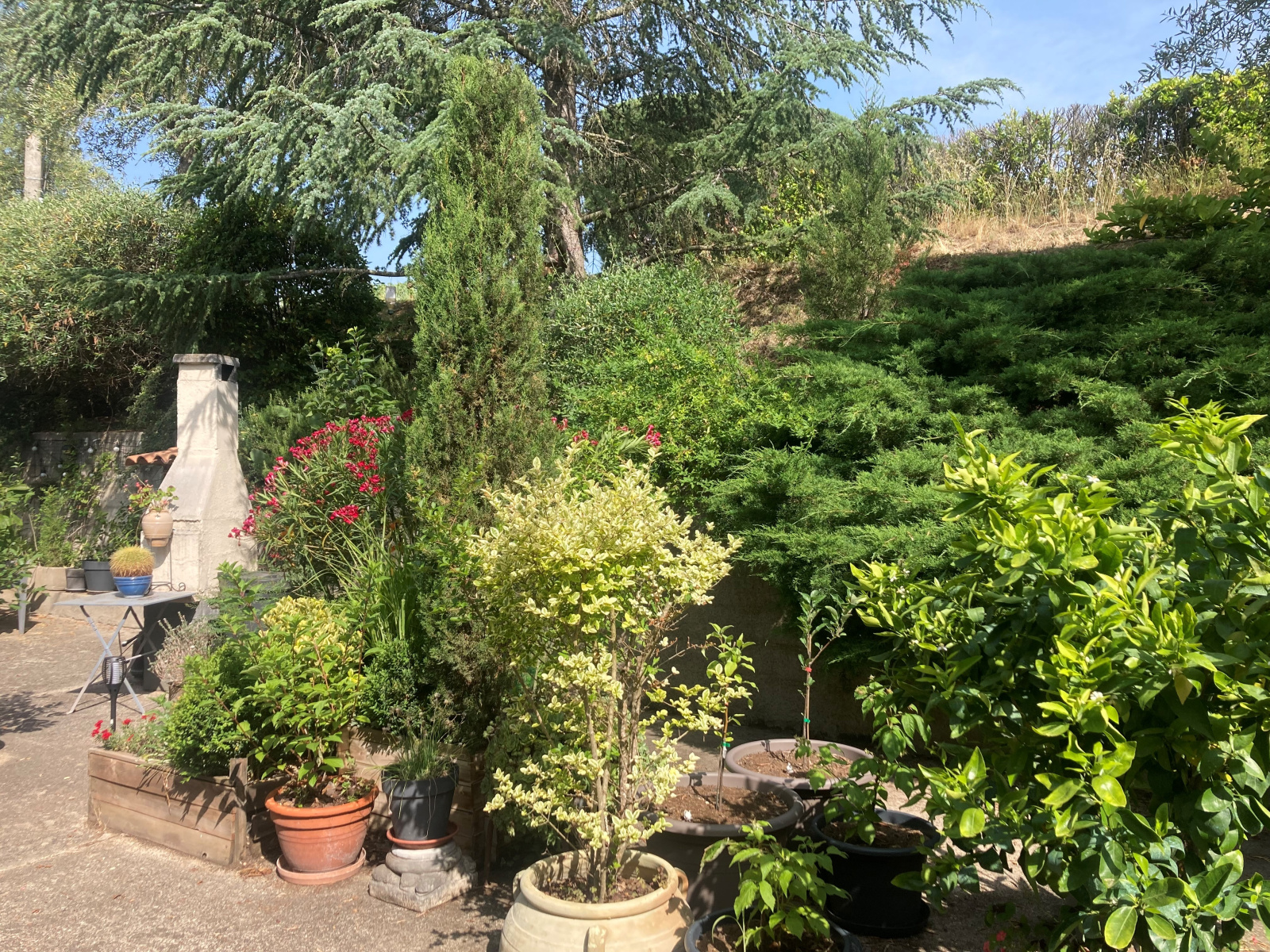 Image_27, Villa, Cépie, ref :5812