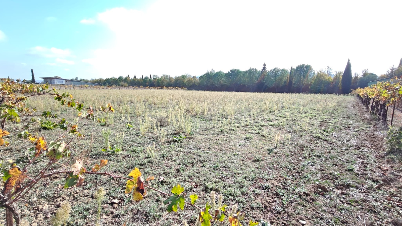 Image_26, Propriete, Cépie, ref :9265-D