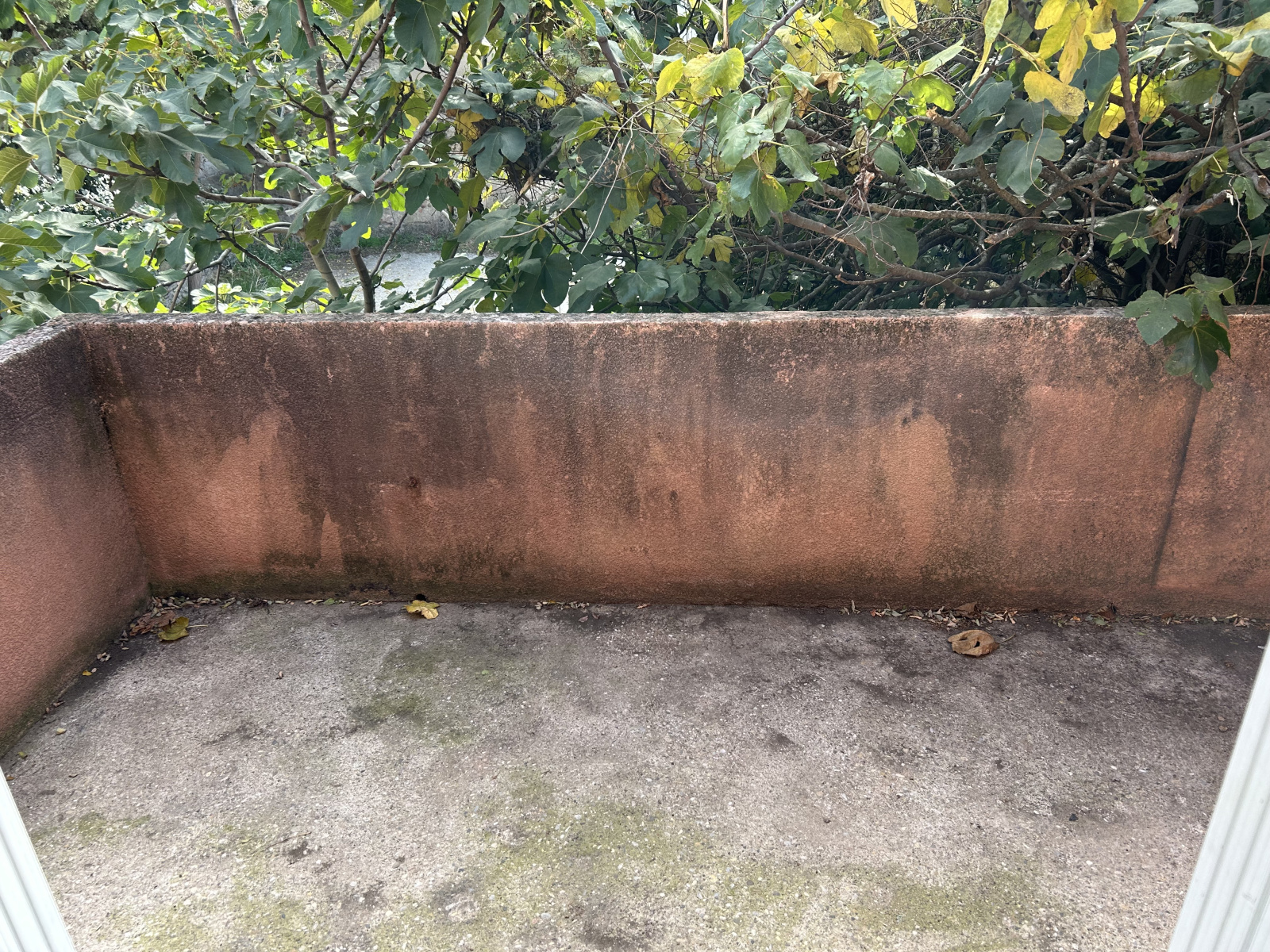 Image_7, Appartement, Carcassonne, ref :4588