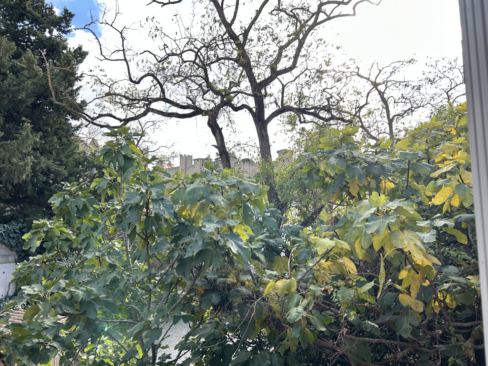 Image_8, Appartement, Carcassonne, ref :4588