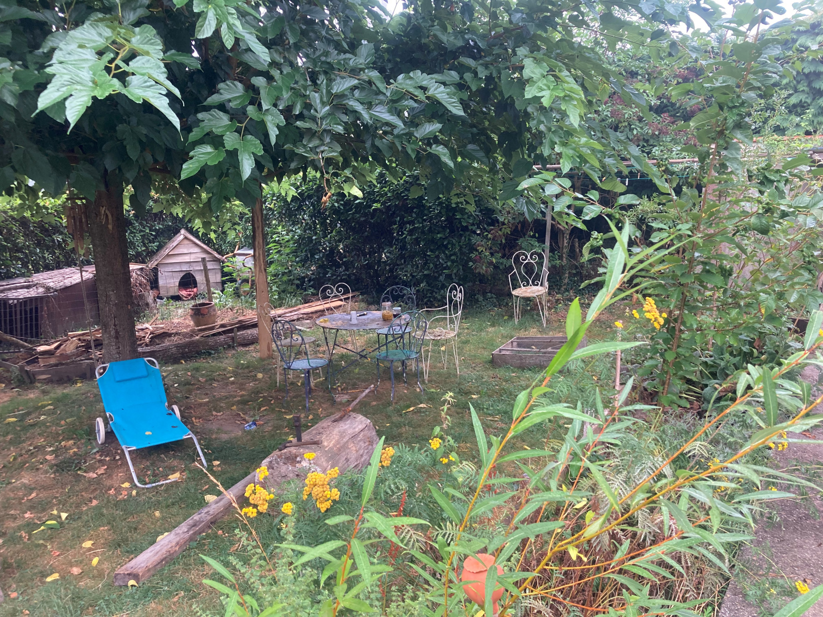 Image_2, Maison, Pradelles-Cabardès, ref :5828