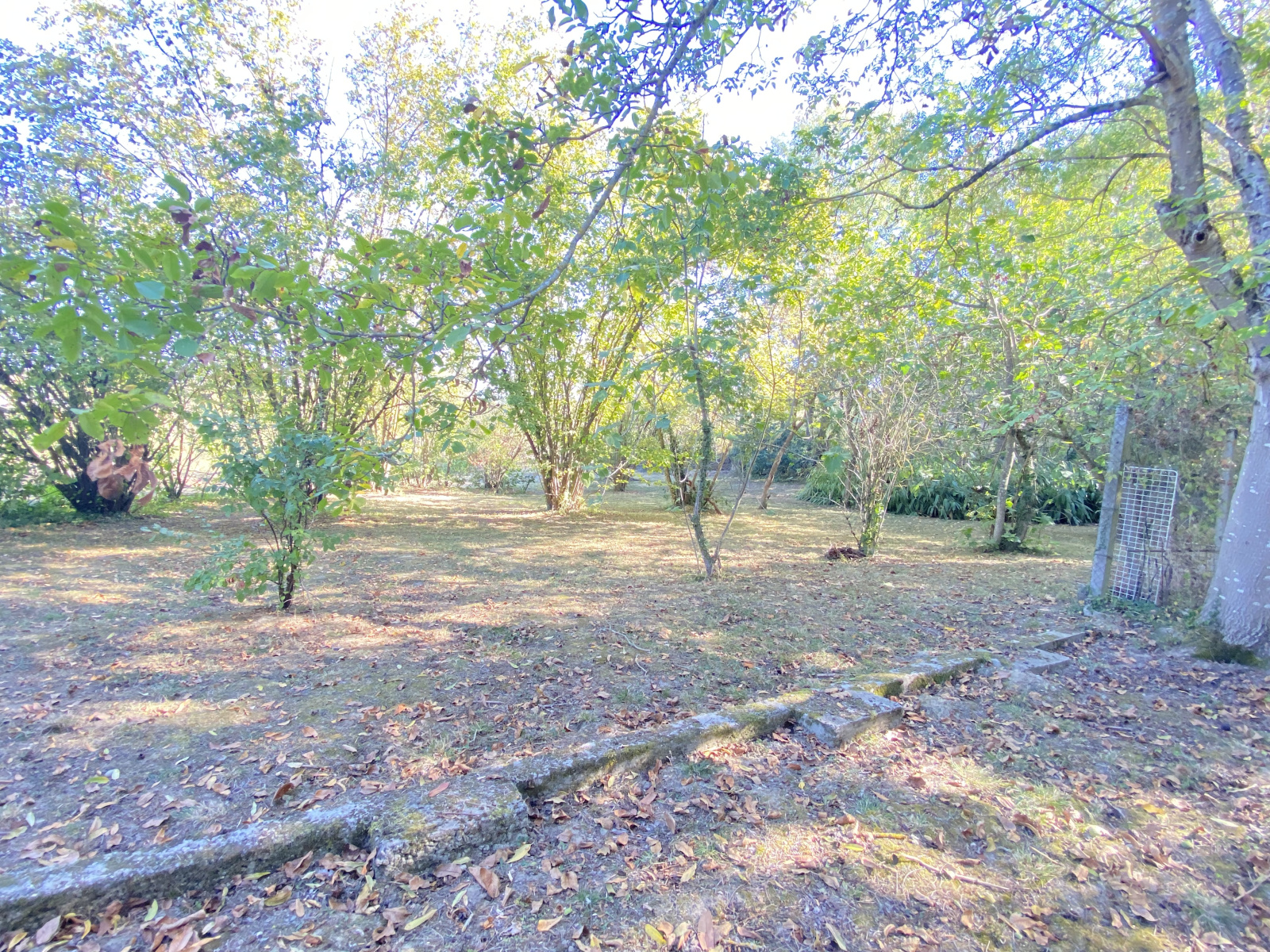 Image_23, Villa, Limoux, ref :8796-D