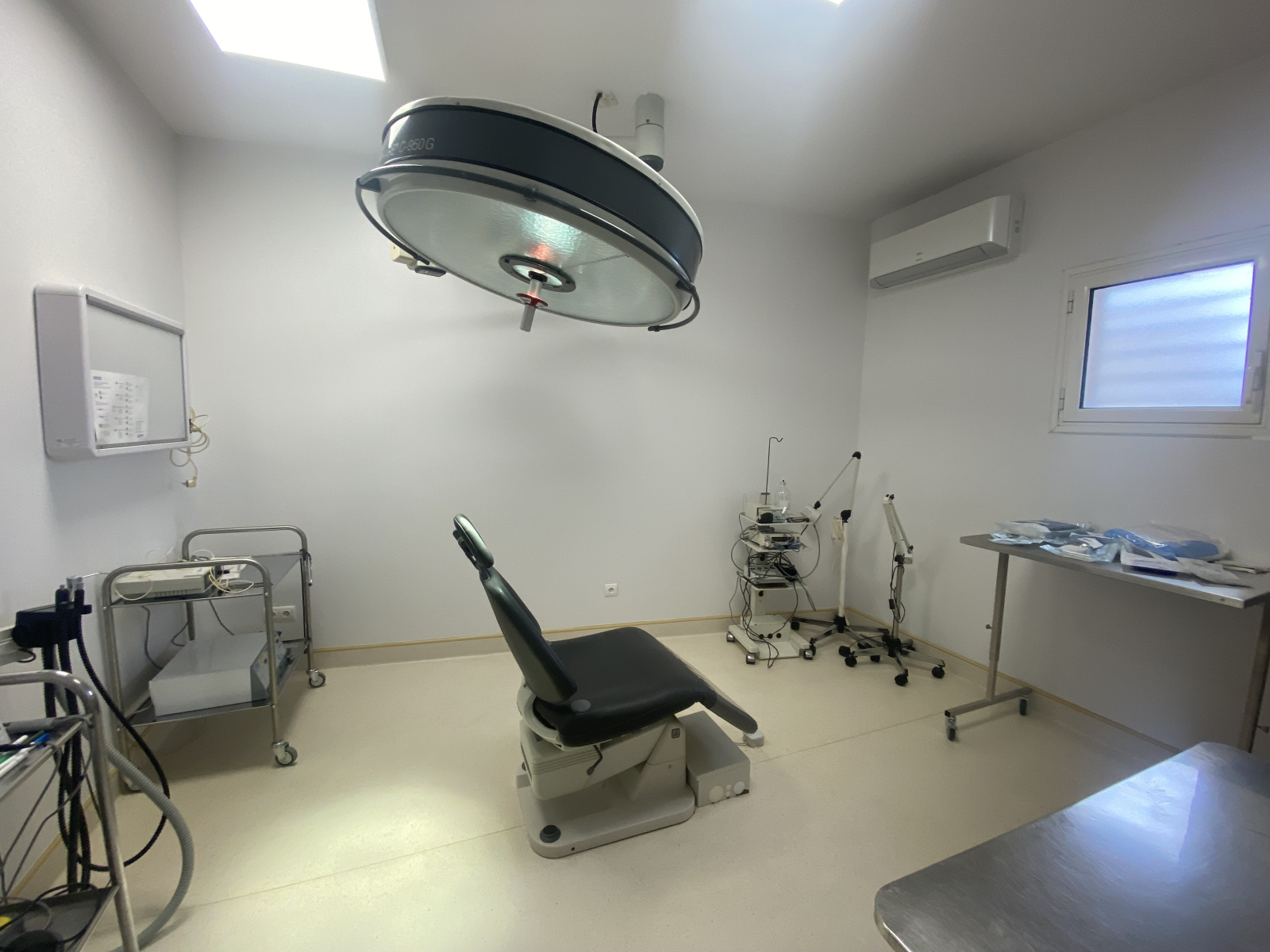 Image_12, Local professionnel, Carcassonne, ref :5710