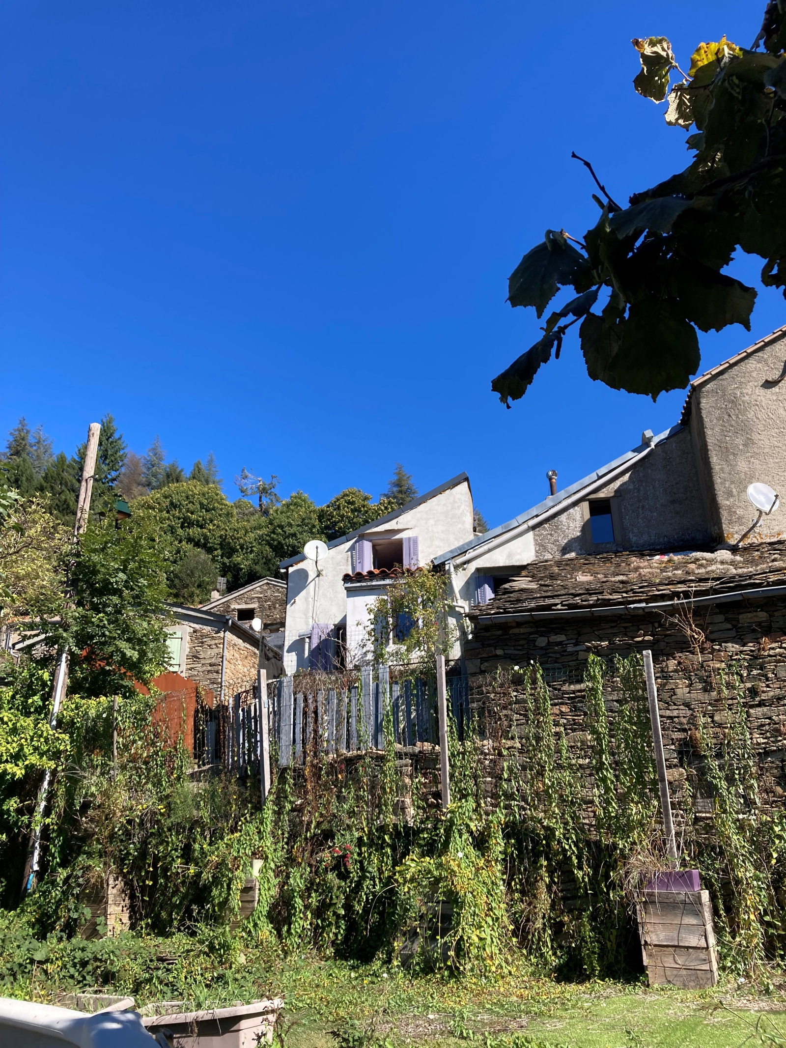 Image_17, Maison, Castans, ref :5838