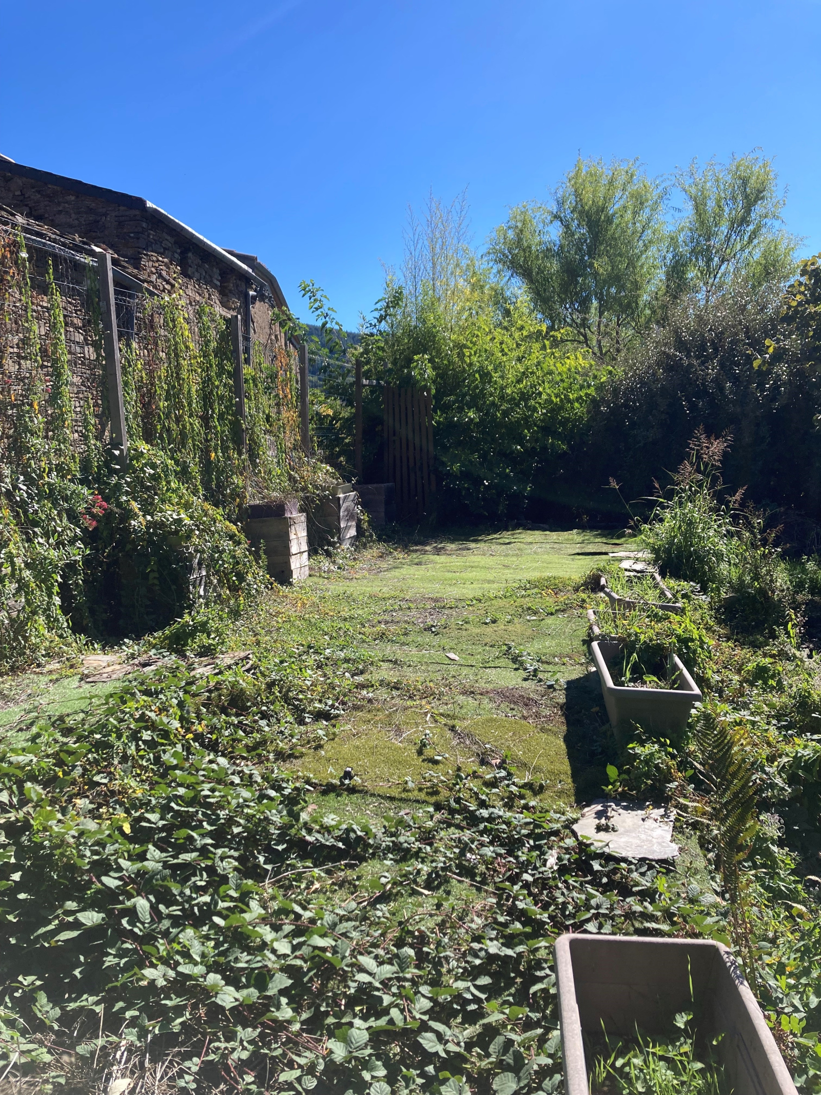 Image_14, Maison, Castans, ref :5838