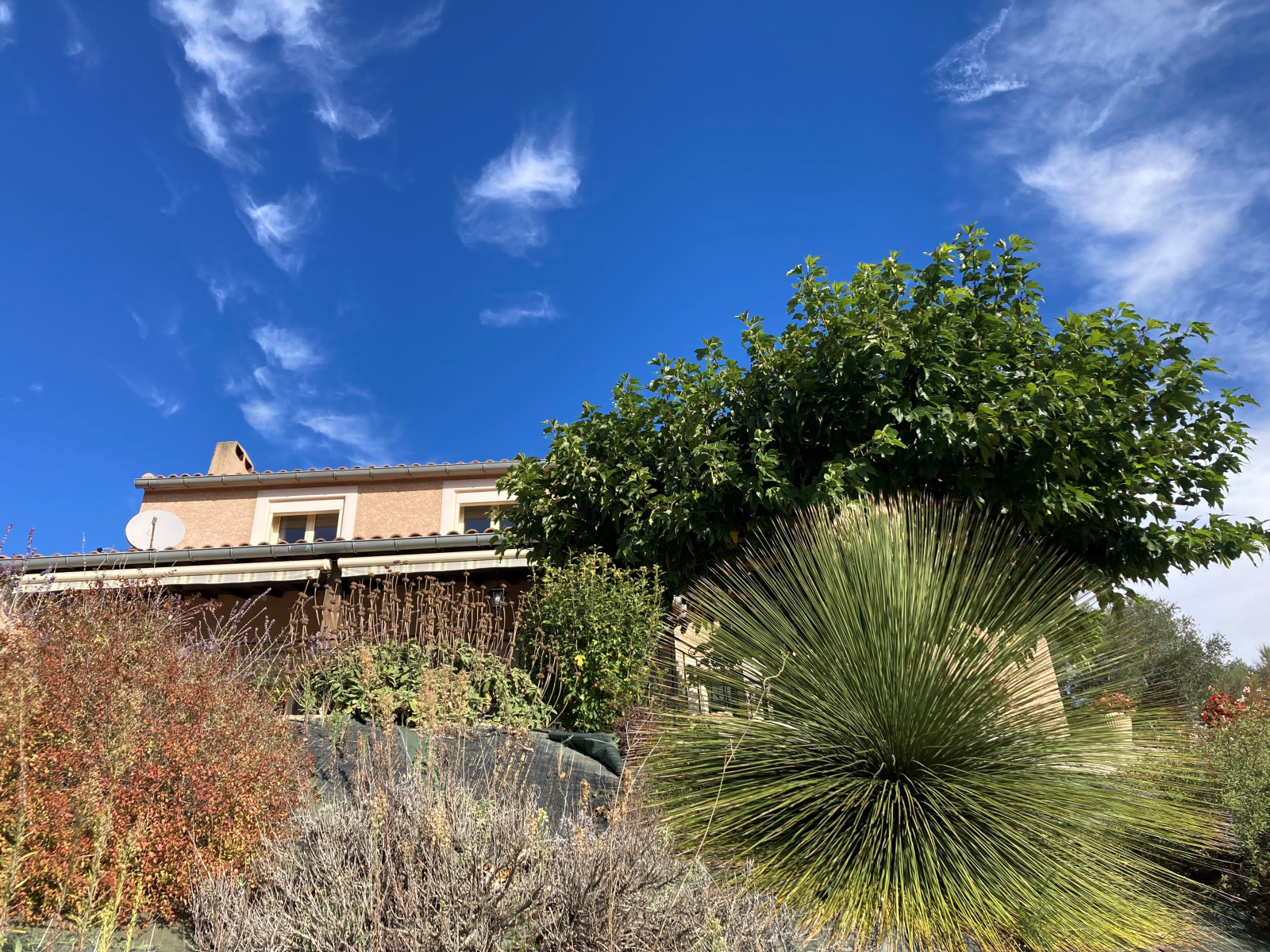 Image_52, Villa, Cépie, ref :5833