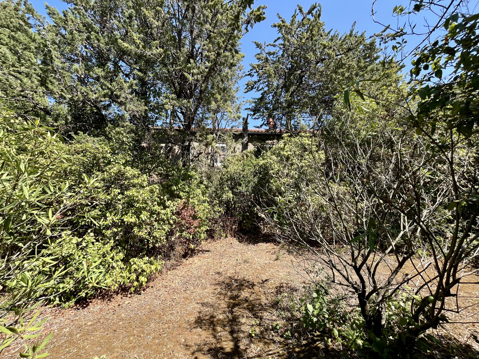 Image_17, Maison de village, Marseillette, ref :5824