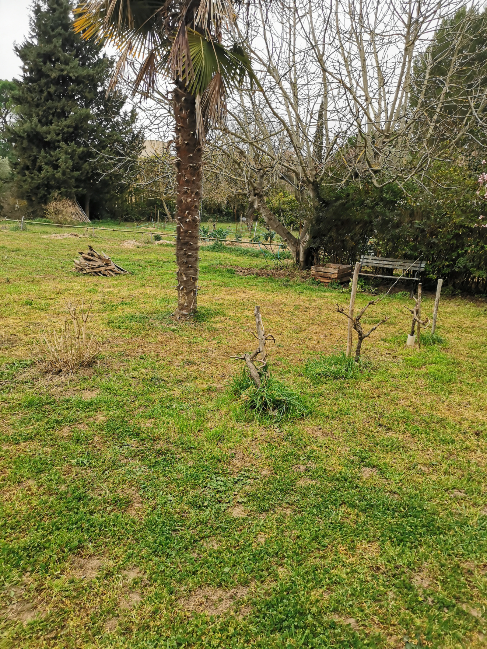 Image_11, Maison, Verzeille, ref :9051-D