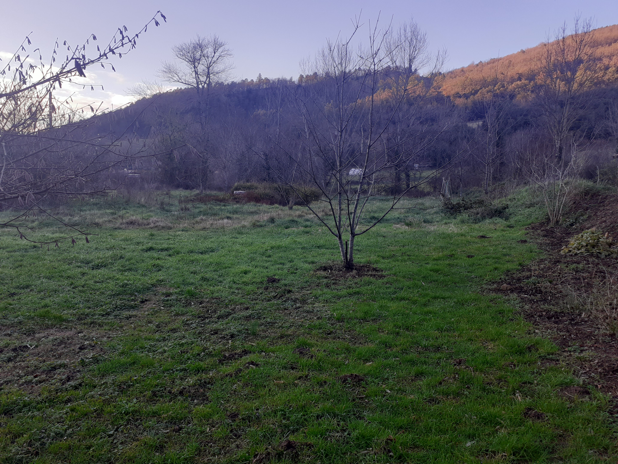 Photo bien immobilier