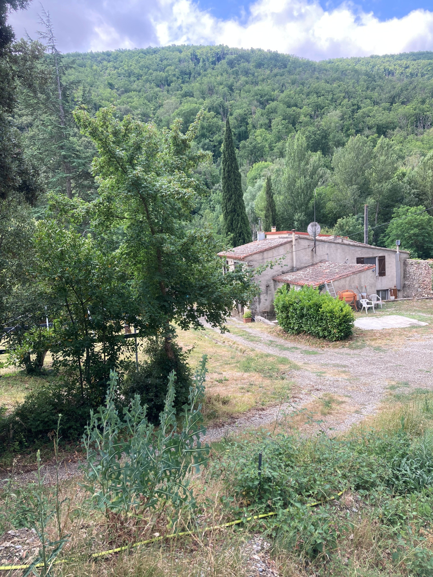 Corbières vertes, maison 4 chambres terrain 5000m2 avec source